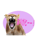 キリンジャングル（個別スタンプ：28）