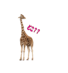 キリンジャングル（個別スタンプ：34）