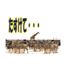キリンジャングル（個別スタンプ：36）