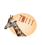 キリンジャングル（個別スタンプ：39）