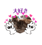 猫のスタンプ    マロン2（個別スタンプ：6）