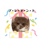 猫のスタンプ    マロン2（個別スタンプ：14）