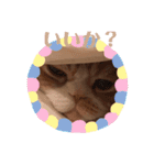 猫のスタンプ    マロン2（個別スタンプ：16）