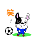 サッカー犬 青ユニ版（個別スタンプ：25）