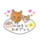 しままとつみれ（個別スタンプ：18）