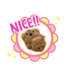しままとつみれ（個別スタンプ：20）