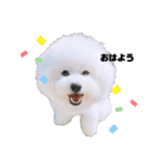 うにーに（個別スタンプ：1）