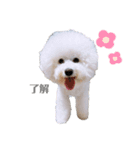 うにーに（個別スタンプ：4）