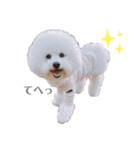 うにーに（個別スタンプ：8）