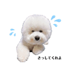 うにーに（個別スタンプ：9）
