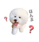 うにーに（個別スタンプ：11）