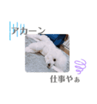 うにーに（個別スタンプ：21）