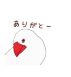 文鳥さんで会話（個別スタンプ：2）