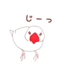 文鳥さんで会話（個別スタンプ：3）