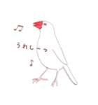 文鳥さんで会話（個別スタンプ：8）