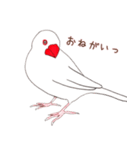 文鳥さんで会話（個別スタンプ：11）