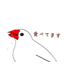 文鳥さんで会話（個別スタンプ：19）