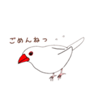 文鳥さんで会話（個別スタンプ：20）