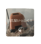 酒飲みのためのヒョウモントカゲモドキ（個別スタンプ：8）