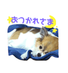 くぅのきもち（個別スタンプ：5）