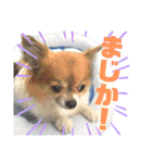 くぅのきもち（個別スタンプ：8）