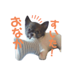 くぅのきもち（個別スタンプ：10）
