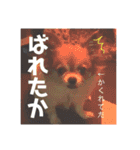 くぅのきもち（個別スタンプ：13）