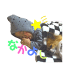 くぅのきもち（個別スタンプ：16）