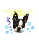 こなつとこもものこなももスタンプ①（個別スタンプ：8）