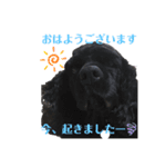 こなつとこもものこなももスタンプ①（個別スタンプ：13）
