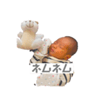 綾覇くんスタンプ（個別スタンプ：3）