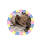 귀여운 몽실이（個別スタンプ：1）
