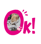 귀여운 몽실이（個別スタンプ：3）