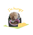 귀여운 몽실이（個別スタンプ：4）