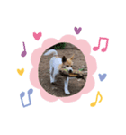 귀여운 몽실이（個別スタンプ：6）