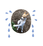 귀여운 몽실이（個別スタンプ：8）
