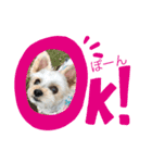 ぽんつく☆（個別スタンプ：4）