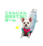 ぽんつく☆（個別スタンプ：6）