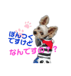 ぽんつく☆（個別スタンプ：8）