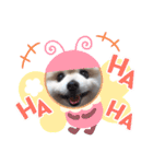 ポメラニアンのひめすたんぷ（個別スタンプ：18）