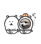ポメラニアンのひめすたんぷ（個別スタンプ：24）