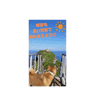 たのしい りき君 9（個別スタンプ：3）