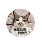 Hana’s cute cute cat life（個別スタンプ：8）