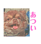 チワワのイヴ君＆エンジェルちゃん（個別スタンプ：24）