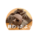 すーさんのスタンプ2（個別スタンプ：11）
