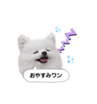 ポメポメポメまるの日常2（個別スタンプ：2）