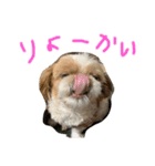ポニョさん（個別スタンプ：4）