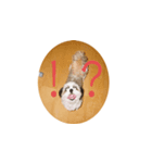 Stupid dog Cheese（個別スタンプ：8）