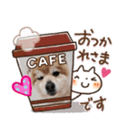 ポメラニアン☆クマタン（個別スタンプ：10）