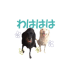 ちぇりーとここ（個別スタンプ：1）